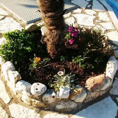Golden Star * Nydri (Lefkada)